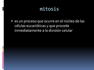 mitosises un proceso que ocurre en el núcleo de las células eucarióticas y que procede inmediatamente a la división celular