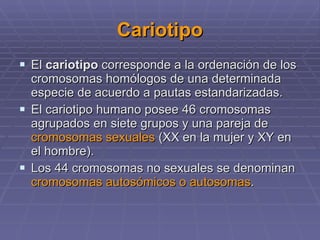 Cariotipo El  cariotipo  corresponde a la ordenación de los cromosomas homólogos de una determinada especie de acuerdo a pautas estandarizadas.  El cariotipo humano posee 46 cromosomas agrupados en siete grupos y una pareja de  cromosomas sexuales  (XX en la mujer y XY en el hombre).  Los 44 cromosomas no sexuales se denominan  cromosomas autosómicos o autosomas . 