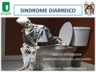 SINDROME DIARREICO

NÚCLEO INTEGRADOR
SEMESTRE II MEDICINA UNIQUINDIO
TUTOR Dr. GILBERTO GARCÍA

 