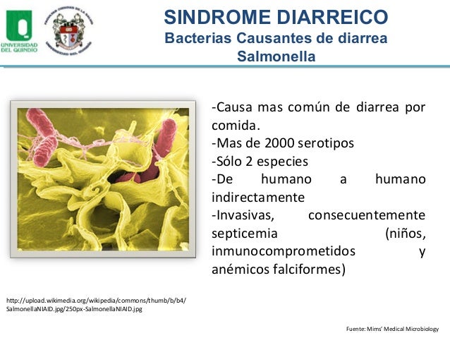 Breve guía de metabolismo acelerado nutrición y dietas