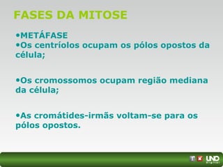 FASES DA MITOSE
•METÁFASE
•Os centríolos ocupam os pólos opostos da
célula;
•Os cromossomos ocupam região mediana
da célula;
•As cromátides-irmãs voltam-se para os
pólos opostos.
 