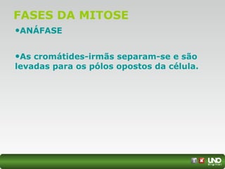FASES DA MITOSE
•ANÁFASE
•As cromátides-irmãs separam-se e são
levadas para os pólos opostos da célula.
 
