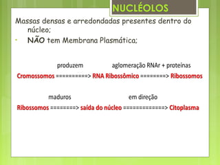 Massas densas e arredondadas presentes dentro do
núcleo;
• NÃO tem Membrana Plasmática;
NUCLÉOLOS
 