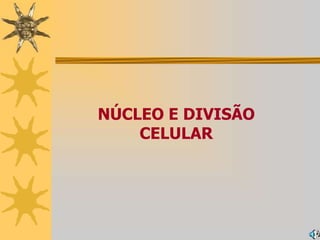 NÚCLEO E DIVISÃO CELULAR<br />