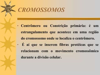 Anáfase I – <br />Migração dos cromossomos <br />Não ocorre a divisão dos centrômeros<br />DIVISÃO CELULAR<br />Tipos de d...