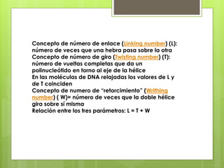 Concepto de número de enlace (Linking number) (L):
número de veces que una hebra pasa sobre la otra
Concepto de número de giro (Twisting number) (T):
número de vueltas completas que da un
polinucleótido en torno al eje de la hélice
En las moléculas de DNA relajadas los valores de L y
de T coinciden
Concepto de numero de “retorcimiento” (Writhing
number) ( W)= número de veces que la doble hélice
gira sobre sí misma
Relación entre los tres parámetros: L = T + W
 