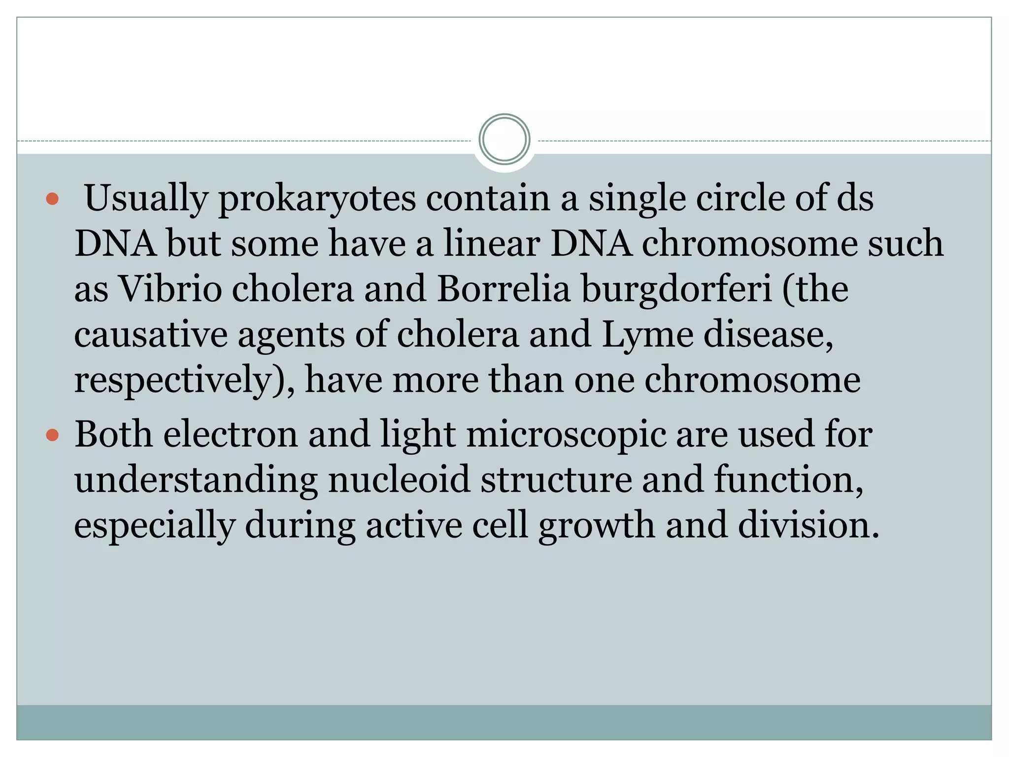  Usually prokaryotes contain a single circle of ds
DNA but some have a linear DNA chromosome such
as Vibrio cholera and Borrelia burgdorferi (the
causative agents of cholera and Lyme disease,
respectively), have more than one chromosome
Both electron and light microscopic are used for
understanding nucleoid structure and function,
especially during active cell growth and division.