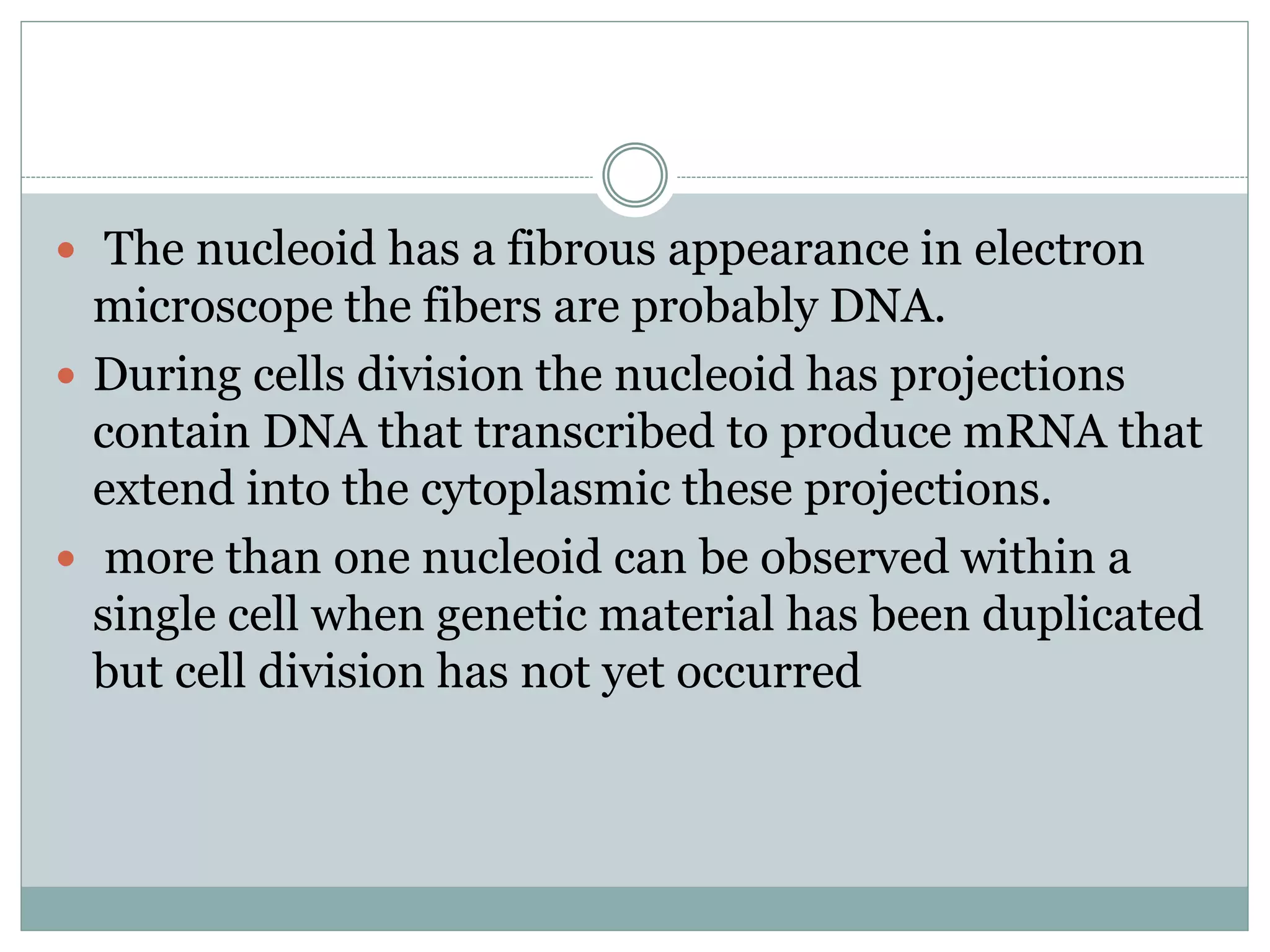  The nucleoid has a fibrous appearance in electron
microscope the fibers are probably DNA.
During cells division the nucleoid has projections
contain DNA that transcribed to produce mRNA that
extend into the cytoplasmic these projections.
more than one nucleoid can be observed within a
single cell when genetic material has been duplicated
but cell division has not yet occurred