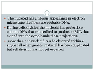 Nucleoid or prokaryotic genetic material | PPTX