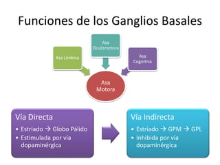 Funciones de los Ganglios Basales
Vía Directa
• Estriado  Globo Pálido
• Estimulada por vía
dopaminérgica
Vía Indirecta
• Estriado  GPM  GPL
• Inhibida por vía
dopaminérgica
Asa
Motora
Asa Límbica
Asa
Oculomotora
Asa
Cognitiva
 