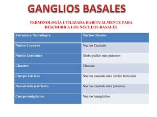 Estructura Neurológica Núcleos Basales
Núcleo Caudado Núcleo Caudado
Núcleo Lenticular Globo pálido más putamen
Claustro Claustro
Cuerpo Estriado Núcleo caudado más núcleo lenticular
Neoestriado (estriado) Núcleo caudado más putamen
Cuerpo amigdalino Núcleo Amigdalino
TERMINOLOGÍA UTILIZADA HABITUALMENTE PARA
DESCRIBIR A LOS NÚCLEOS BASALES
 