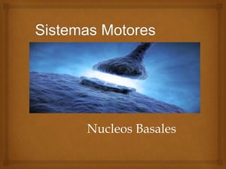 Nucleos Basales
 