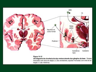Da Base Nucleos da base | PDF