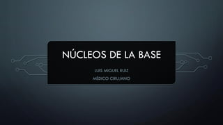 NÚCLEOS DE LA BASE
LUIS MIGUEL RUIZ
MÉDICO CIRUJANO
 