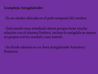 Complejo Amigdaloide:
- Es un núcleo ubicado en el polo temporal del cerebro.
- Está siendo muy estudiado ahora porque tiene mucha
relación con el sistema límbico, incluso la amígdala se separa
en grupos cortico medial y vaso lateral .
- Se divide además en un Área Amigdaloide Anterior y
Posterior.
 