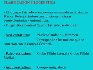 CLASIFICACIÓN FILOGENÉTICA
- EL Cuerpo Estriado se encuentra sumergido en Sustancia
Blanca. Relacionándose con funciones motoras
Semivoluntarias - Automáticas.
- Filogenéticamente el Cuerpo Estriado, se divide en:
- Neo-estratium: Núcleo Caudado + Putamen.
Corresponde a los núcleos que se
conectan con la Corteza Cerebral.
- Paleo-estratium: Globo Pálido Lateral + Globo Pálido
Medial.
- Arqui-estratium: Cuerpo amigdaloide.
 
