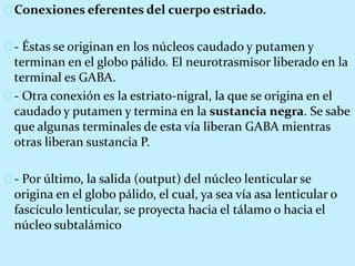 Conexiones eferentes del cuerpo estriado.
- Éstas se originan en los núcleos caudado y putamen y
terminan en el globo pálido. El neurotrasmisor liberado en la
terminal es GABA.
- Otra conexión es la estriato-nigral, la que se origina en el
caudado y putamen y termina en la sustancia negra. Se sabe
que algunas terminales de esta vía liberan GABA mientras
otras liberan sustancia P.
- Por último, la salida (output) del núcleo lenticular se
origina en el globo pálido, el cual, ya sea vía asa lenticular o
fascículo lenticular, se proyecta hacia el tálamo o hacia el
núcleo subtalámico
 
