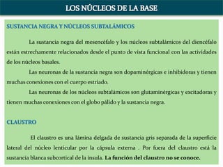 SUSTANCIA NEGRA Y NÚCLEOS SUBTALÁMICOS
La sustancia negra del mesencéfalo y los núcleos subtalámicos del diencéfalo
están estrechamente relacionados desde el punto de vista funcional con las actividades
de los núcleos basales.
Las neuronas de la sustancia negra son dopaminérgicas e inhibidoras y tienen
muchas conexiones con el cuerpo estriado.
Las neuronas de los núcleos subtalámicos son glutaminérgicas y excitadoras y
tienen muchas conexiones con el globo pálido y la sustancia negra.
CLAUSTRO
El claustro es una lámina delgada de sustancia gris separada de la superficie
lateral del núcleo lenticular por la cápsula externa . Por fuera del claustro está la
sustancia blanca subcortical de la ínsula. La función del claustro no se conoce.
 