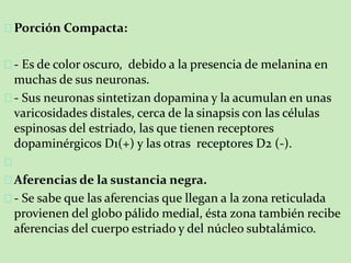 Porción Compacta:
- Es de color oscuro, debido a la presencia de melanina en
muchas de sus neuronas.
- Sus neuronas sintetizan dopamina y la acumulan en unas
varicosidades distales, cerca de la sinapsis con las células
espinosas del estriado, las que tienen receptores
dopaminérgicos D1(+) y las otras receptores D2 (-).
Aferencias de la sustancia negra.
- Se sabe que las aferencias que llegan a la zona reticulada
provienen del globo pálido medial, ésta zona también recibe
aferencias del cuerpo estriado y del núcleo subtalámico.
 