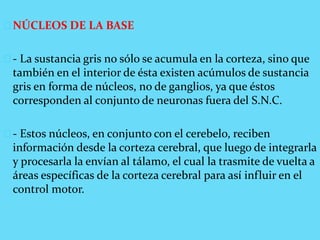 NÚCLEOS DE LA BASE
- La sustancia gris no sólo se acumula en la corteza, sino que
también en el interior de ésta existen acúmulos de sustancia
gris en forma de núcleos, no de ganglios, ya que éstos
corresponden al conjunto de neuronas fuera del S.N.C.
- Estos núcleos, en conjunto con el cerebelo, reciben
información desde la corteza cerebral, que luego de integrarla
y procesarla la envían al tálamo, el cual la trasmite de vuelta a
áreas específicas de la corteza cerebral para así influir en el
control motor.
 