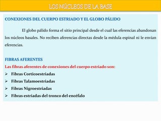 CONEXIONES DEL CUERPO ESTRIADO Y EL GLOBO PÁLIDO
El globo pálido forma el sitio principal desde el cual las eferencias abandonan
los núcleos basales. No reciben aferencias directas desde la médula espinal ni le envían
eferencias.
FIBRAS AFERENTES
Las fibras aferentes de conexiones del cuerpo estriado son:
 Fibras Corticoestriadas
 Fibras Talamoestriadas
 Fibras Nigroestriadas
 Fibras estriadas del tronco del encéfalo
 