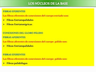 FIBRAS EFERENTES
Las fibras eferentes de conexiones del cuerpo estriado son:
 Fibras Estriatopalidales
 Fibras Estriatonígricas
CONEXIONES DEL GLOBO PÁLIDO
FIBRAS AFERENTES
Las fibras aferentes de conexiones del cuerpo pálido son:
 Fibras Estriatopalidales
FIBRAS EFERENTES
Las fibras eferentes de conexiones del cuerpo pálido son:
 Fibras palidófugas
 