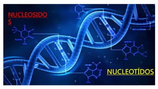 NUCLEOSIDO
S
NUCLEOTÍDOS
 