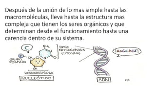 Después de la unión de lo mas simple hasta las
macromoléculas, lleva hasta la estructura mas
compleja que tienen los seres orgánicos y que
determinan desde el funcionamiento hasta una
carencia dentro de su sistema.
 