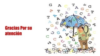 Gracias Por su
atención