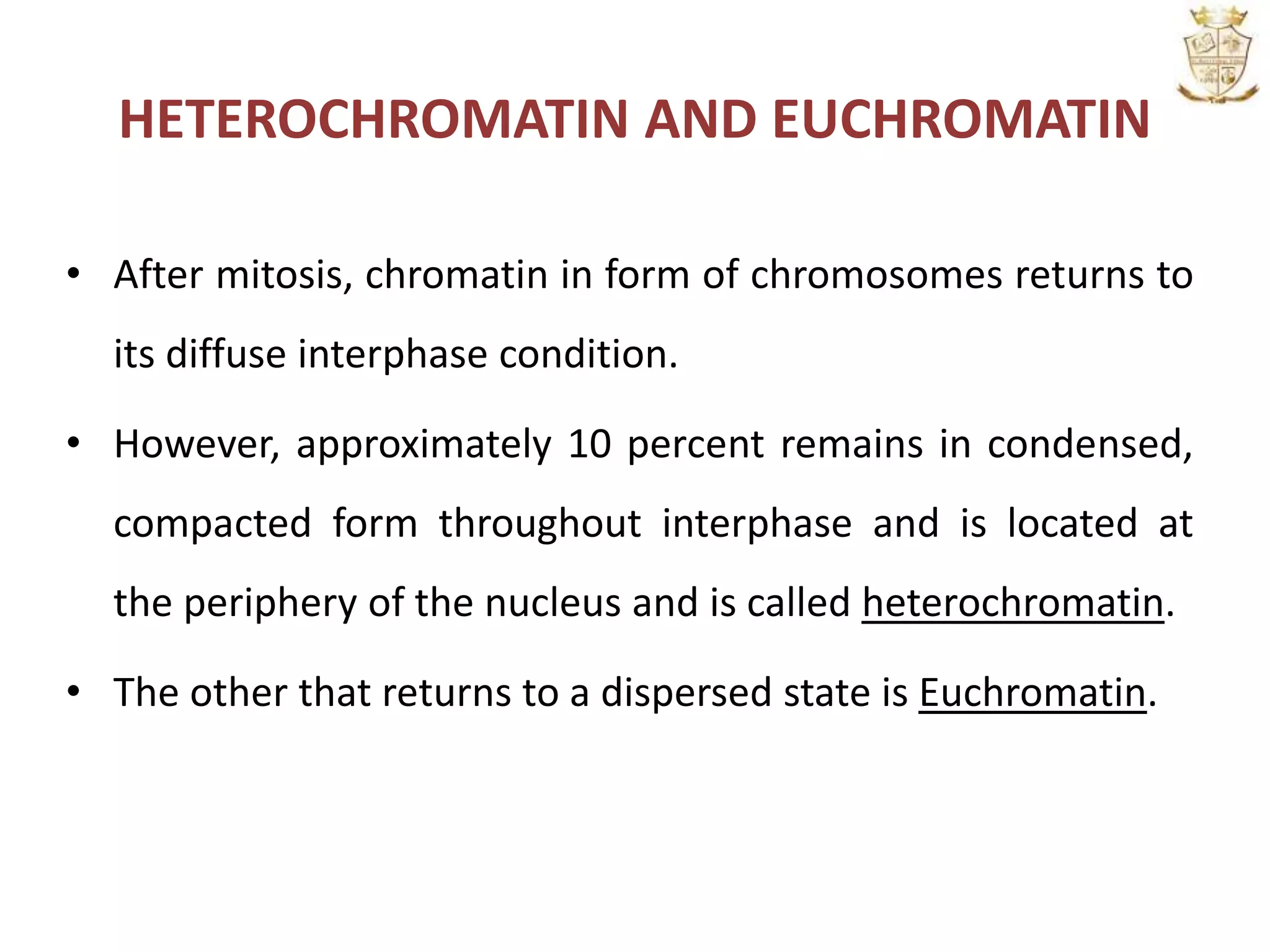 HETEROCHROMATIN AND EUCHROMATIN
• After mitosis, chromatin in form of chromosomes returns to
its diffuse interphase condition.
• However, approximately 10 percent remains in condensed,
compacted form throughout interphase and is located at
the periphery of the nucleus and is called heterochromatin.
• The other that returns to a dispersed state is Euchromatin.
 