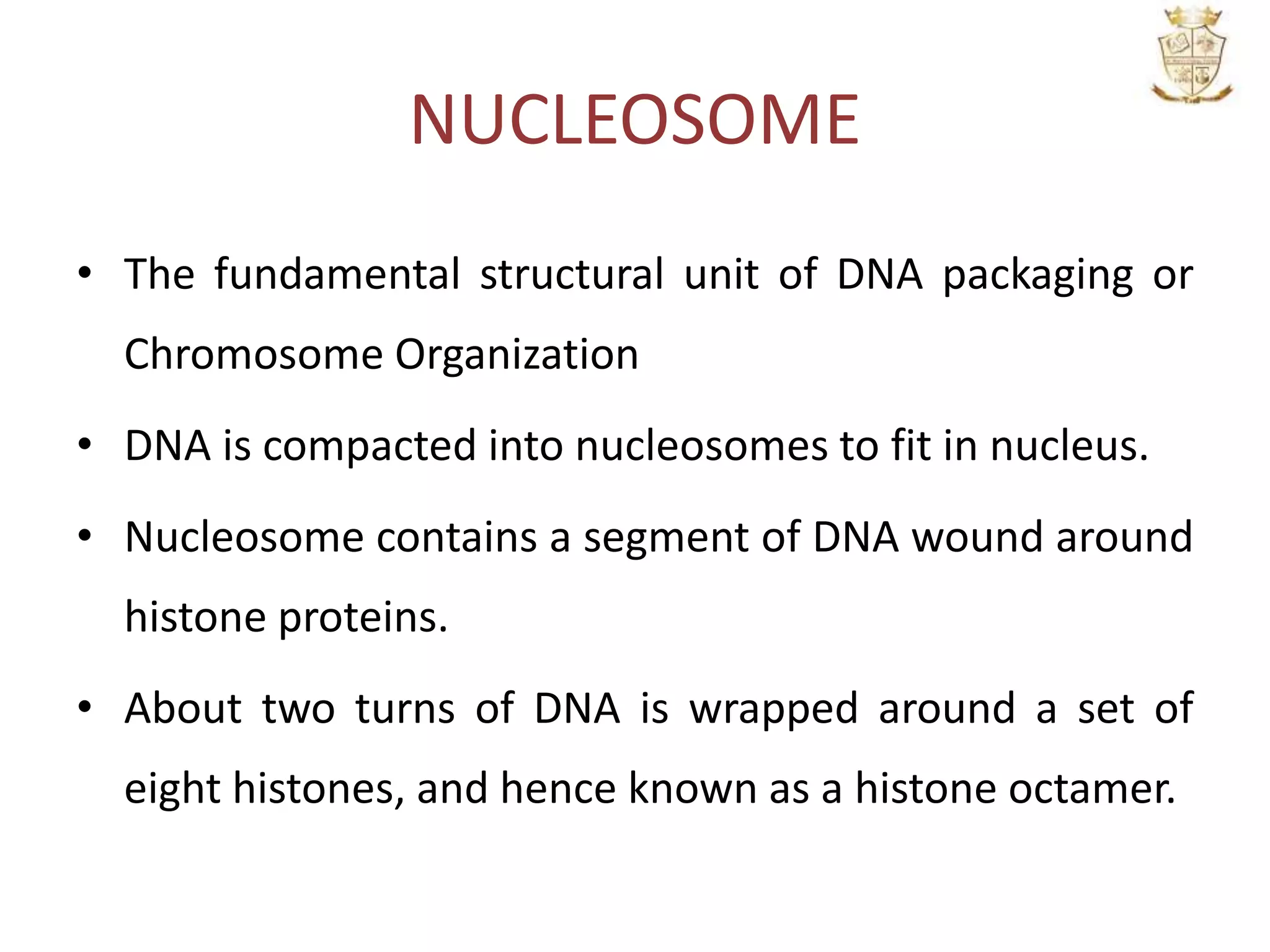NUCLEOSOME
• The fundamental structural unit of DNA packaging or
Chromosome Organization
• DNA is compacted into nucleosomes to fit in nucleus.
• Nucleosome contains a segment of DNA wound around
histone proteins.
• About two turns of DNA is wrapped around a set of
eight histones, and hence known as a histone octamer.
 