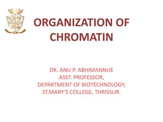 ORGANIZATION OF
CHROMATIN
DR. ANU P. ABHIMANNUE
ASST. PROFESSOR,
DEPARTMENT OF BIOTECHNOLOGY,
ST.MARY’S COLLEGE, THRISSUR.
 