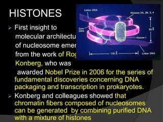HISTONES
 First insight to
molecular architecture
of nucleosome emerged
from the work of Roger
Konberg, who was
awarded Nobel Prize in 2006 for the series of
fundamental discoveries concerning DNA
packaging and transcription in prokaryotes.
 Konberg and colleagues showed that
chromatin fibers composed of nucleosomes
can be generated by combining purified DNA
with a mixture of histones
 