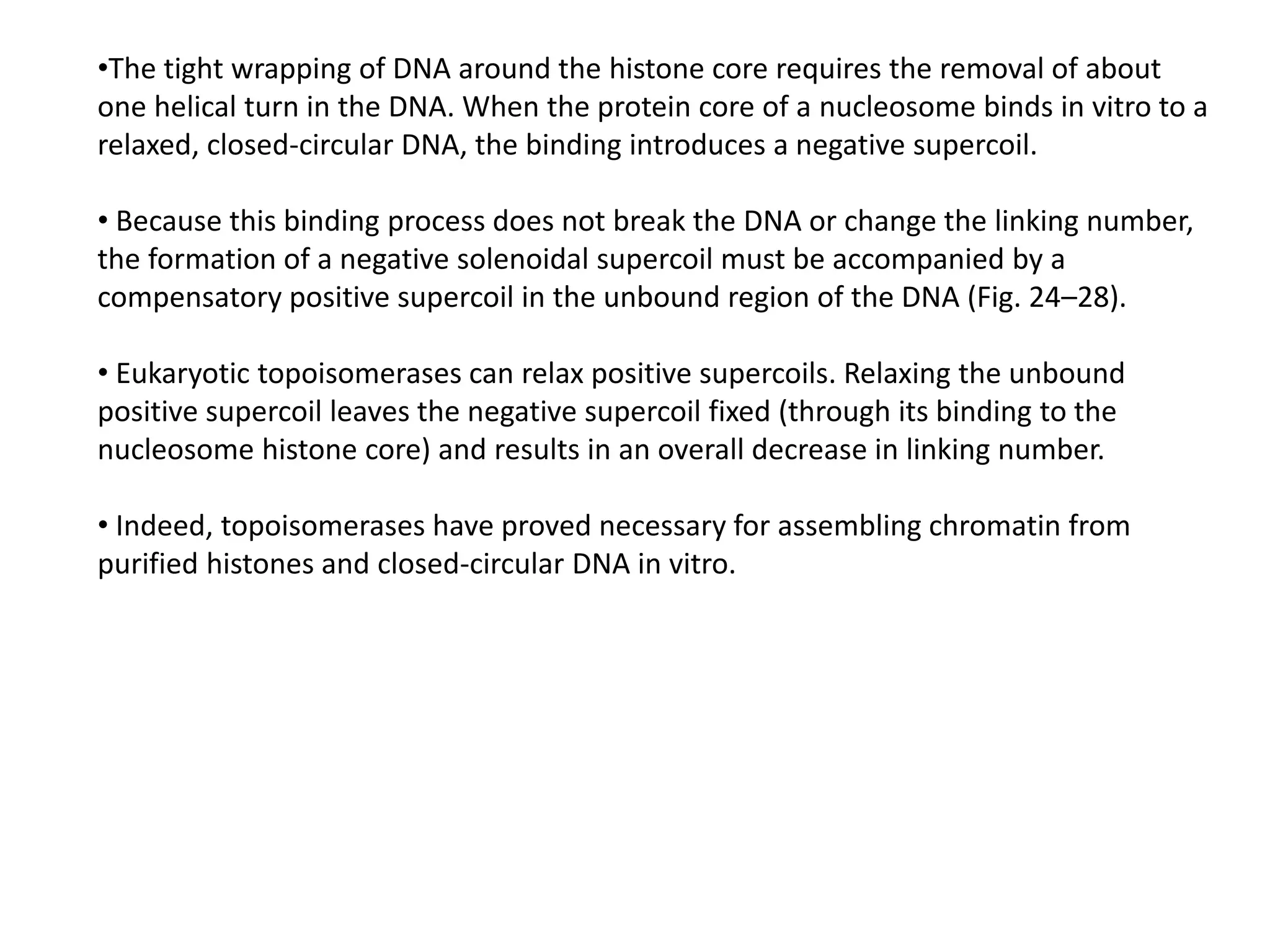 •The tight wrapping of DNA around the histone core requires the removal of about
one helical turn in the DNA. When the protein core of a nucleosome binds in vitro to a
relaxed, closed-circular DNA, the binding introduces a negative supercoil.
• Because this binding process does not break the DNA or change the linking number,
the formation of a negative solenoidal supercoil must be accompanied by a
compensatory positive supercoil in the unbound region of the DNA (Fig. 24–28).
• Eukaryotic topoisomerases can relax positive supercoils. Relaxing the unbound
positive supercoil leaves the negative supercoil fixed (through its binding to the
nucleosome histone core) and results in an overall decrease in linking number.
• Indeed, topoisomerases have proved necessary for assembling chromatin from
purified histones and closed-circular DNA in vitro.
 