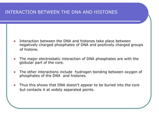 HISTONESThey are the most abundant proteins associated with the chromosomes.They are very rich in basic proteins.At normal ph of the cell the histones have net positive charge that facilitates their binding to the negatively charged DNA. This positive charge is found mainly on the amino group of the side chains of the basic amino acids lysine and arganine.Histones lack tryptophan.