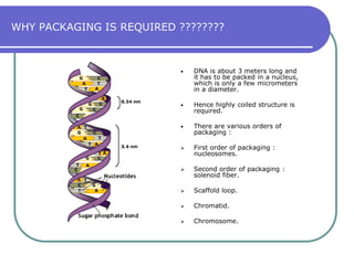 WHY PACKAGING IS REQUIRED ????????DNA is about 3 meters long and it has to be packed in a nucleus,  which is only a few micrometers  in a diameter.