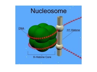 There are various orders of packaging :