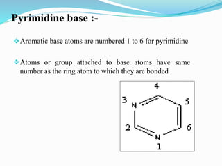 Pyrimidine base :-
Aromatic base atoms are numbered 1 to 6 for pyrimidine
Atoms or group attached to base atoms have same
number as the ring atom to which they are bonded
 