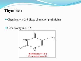 Thymine :-
Chemically is 2,4 dioxy ,5-methyl pyrimidine
Occurs only in DNA
 