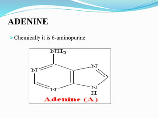 ADENINE
Chemically it is 6-aminopurine
 