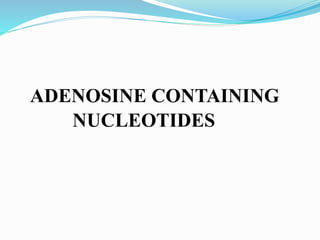 ADENOSINE CONTAINING
NUCLEOTIDES
 