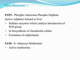 Miscellaneous :-
PAPS - Phospho Adenosine Phospho Sulphate
(active sulphate) formed in liver
 Sulfates enzymes which catalyze introduction of
SO4 group
 In biosynthesis of chondroitin sulfate
 Formation of sulpholipids
SAM:- S- Adenosyl Methionine
 Active methionine
 