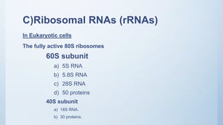 Nucleotide chemistry.pptx