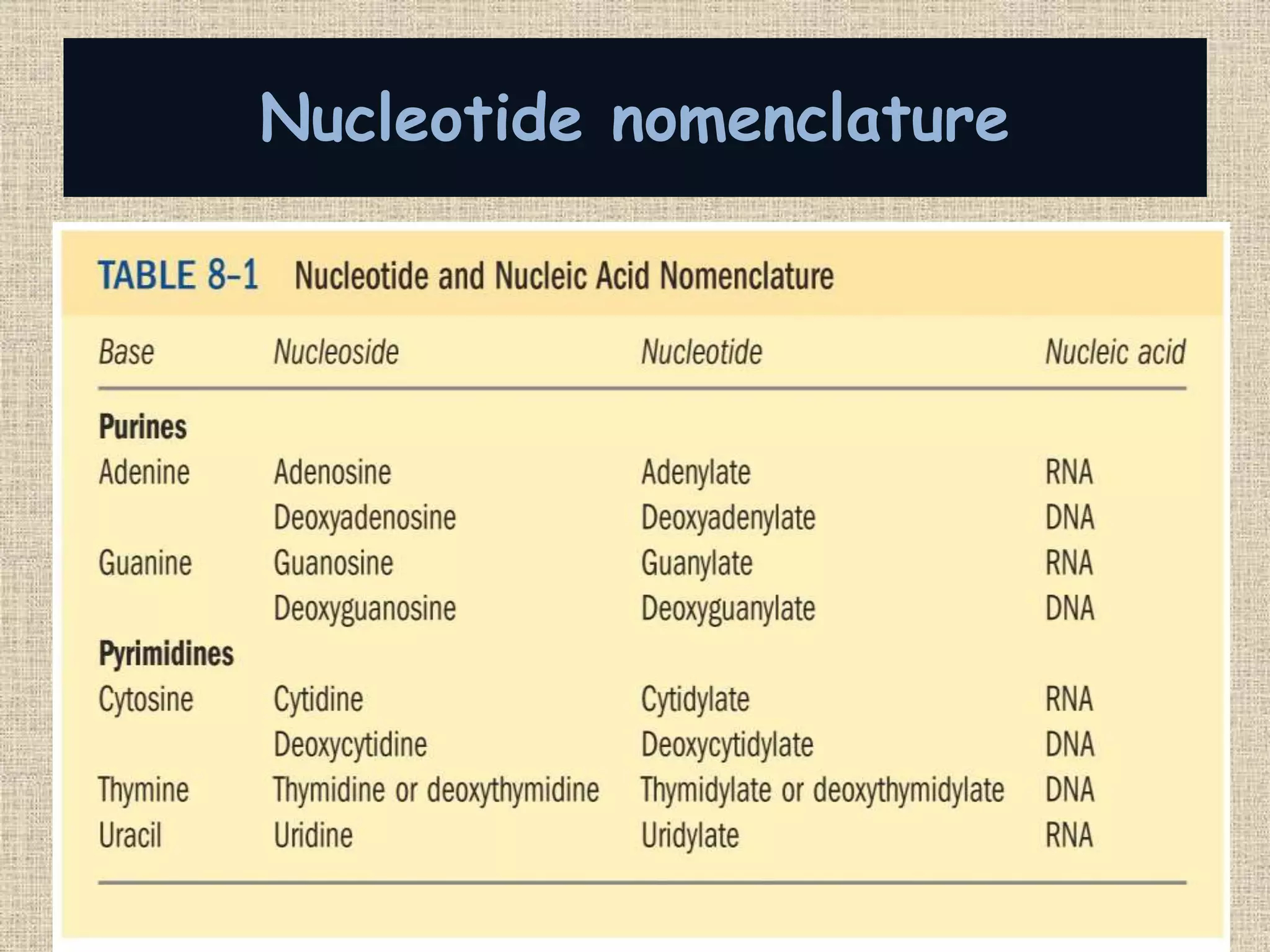 Neceotide Table Nucleotide chemistry and metabolism with ece | PPTX