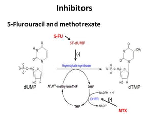 Inhibitors
5-Flurouracil and methotrexate
 
