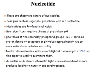 Nucleotide
 