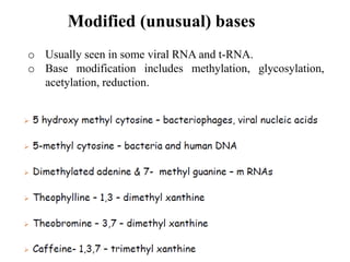 Modified (unusual) bases
o Usually seen in some viral RNA and t-RNA.
o Base modification includes methylation, glycosylation,
acetylation, reduction.
 