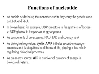 Functions of nucleotide
 