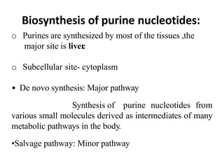 Biosynthesis of purine nucleotides:
o Purines are synthesized by most of the tissues ,the
major site is liver.
o Subcellular site- cytoplasm
• De novo synthesis: Major pathway
Synthesis of purine nucleotides from
various small molecules derived as intermediates of many
metabolic pathways in the body.
•Salvage pathway: Minor pathway
 