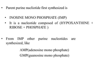 • Parent purine nucliotide first synthesized is
• INOSINE MONO PHOSPHATE (IMP)
• It is a nucleotide composed of (HYPOXANTHINE +
RIBOSE + PHOSPHATE )
• From IMP other purine nucleotides are
synthesized, like
AMP(adenosine mono phosphate)
GMP(guanosine mono phosphate)
 